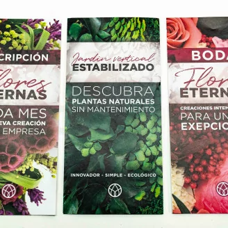 Flyer prospecci&oacute;n &laquo;Jardin Vertical preservado&raquo; (x100)