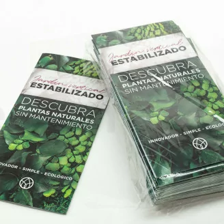 Flyer prospecci&oacute;n &laquo;Jardin Vertical preservado&raquo; (x100)