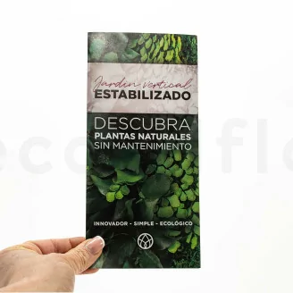 Flyer prospecci&oacute;n &laquo;Jardin Vertical preservado&raquo; (x100)