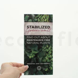 Prospection Flyer &laquo;Preserved Green Wall&raquo; (x100)