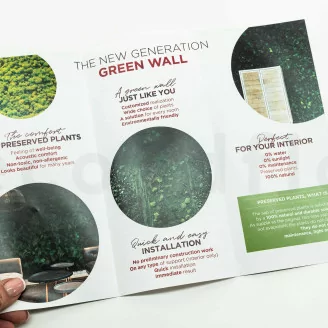 Prospection Flyer &laquo;Preserved Green Wall&raquo; (x100)