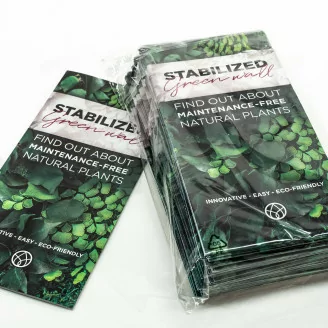 Prospection Flyer &laquo;Preserved Green Wall&raquo; (x100)