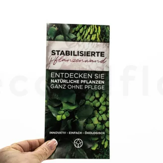 Flyer zur Kundengewinnung &laquo;Konservierte Pflanzenwand&raquo; (x100)