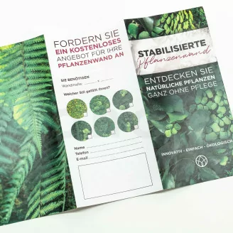 Flyer zur Kundengewinnung &laquo;Konservierte Pflanzenwand&raquo; (x100)