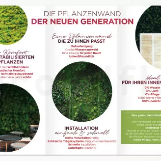 Flyer zur Kundengewinnung &laquo;Konservierte Pflanzenwand&raquo; (x100)