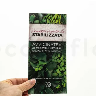 Volantino prospezione &laquo;Parete Vegetale stabilizzata&raquo; (x100)