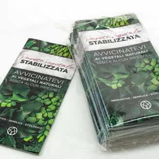 Volantino prospezione &laquo;Parete Vegetale stabilizzata&raquo; (x100)