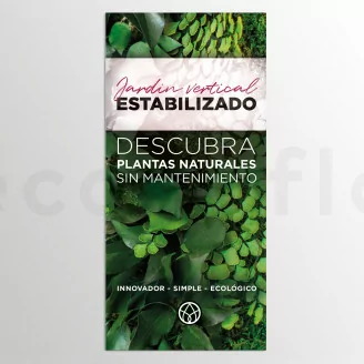 Flyer prospection &laquo;Jardin Vertical preservado &raquo; (x100)