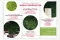 Flyer zur Kundengewinnung &laquo;Jardin Vertical preservado&raquo; (x100) 7