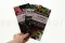 Volantino prospezione &laquo;Preserved Green Wall&raquo; (x100) 9