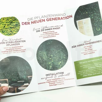 Flyer prospection &laquo;Stabilisierte Pflanzenwand&raquo; (x100)