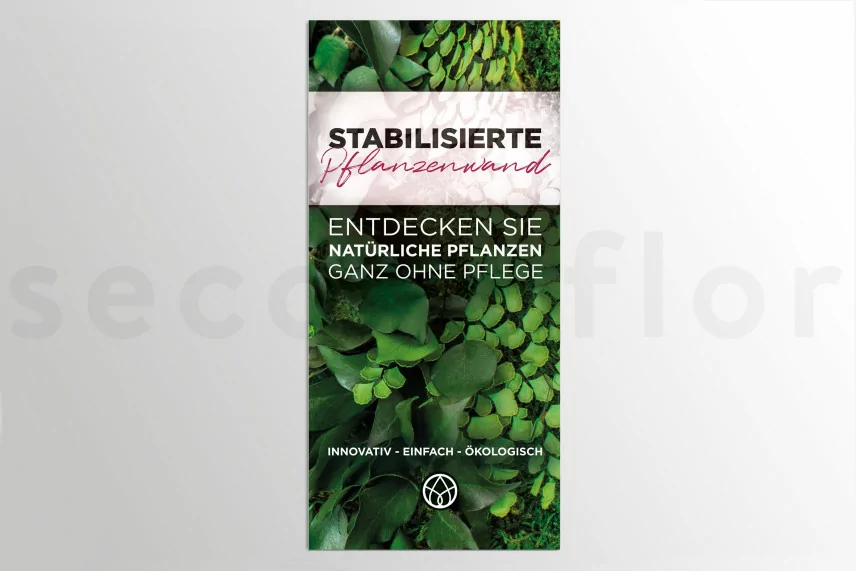 Flyer prospecci&oacute;n &laquo;stabilisierte Pflanzenwand&raquo; (x100)