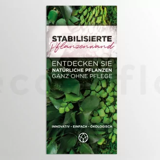 Prospection Flyer &laquo;Konservierte Pflanzenwand&raquo; (x100)