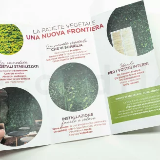 Prospection Flyer &laquo;Parete Vegetale stabilizzata&raquo; (x100)