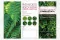 Flyer prospecci&oacute;n &laquo;Parete Vegetale stabilizzata&raquo; (x100) 6