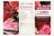 Prospection Flyer &laquo;Wedding&raquo; (x100) 9