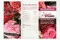 Flyer zur Kundengewinnung &laquo;Matrimonio&raquo; (x100) 4