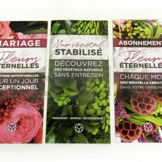 Flyer prospection &laquo;Abonnement&raquo; (x100)