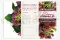 Flyer prospection &laquo;Abonnement&raquo; (x100) 8