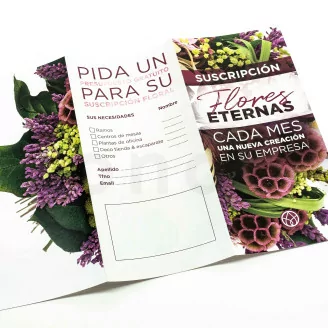 Flyer prospecci&oacute;n &laquo;Suscripci&oacute;n&raquo; (x100)