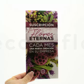 Flyer prospecci&oacute;n &laquo;Suscripci&oacute;n&raquo; (x100)