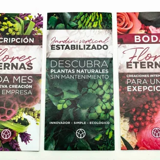 Flyer prospecci&oacute;n &laquo;Suscripci&oacute;n&raquo; (x100)