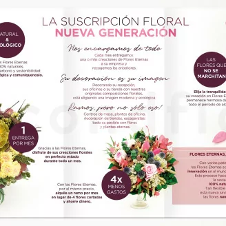 Flyer prospecci&oacute;n &laquo;Suscripci&oacute;n&raquo; (x100)