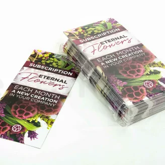 Prospection Flyer &laquo;Subscription&raquo; (x100)