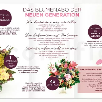 Flyer zur Kundengewinnung &laquo;Abonnement&raquo; (x100)