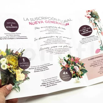 Flyer zur Kundengewinnung &laquo;Suscripci&oacute;n&raquo; (x100)