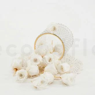 Preserved Vivian Rose White (x24)