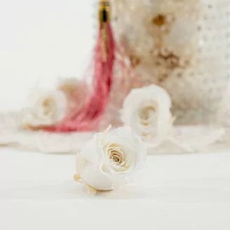 Rosa Vivian stabilizzata Bianco (x24)