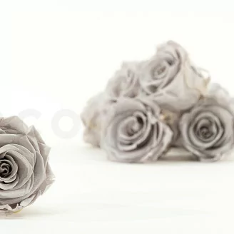 Konservierte Rose L Grau (x8)
