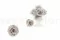 Rosa stabilizzata L Grigio (x8) 9