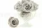 Rosa preservada L Gris (x8) 6