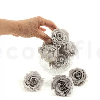 Konservierte Rose L Grau (x8)