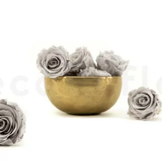 Rosa stabilizzata L Grigio (x8)