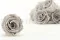 Rosa preservada L Gris (x8) 1