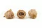 Rosa stabilizzata XL Nude (x6) 5