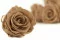 Rosa preservada XL Nude (x6) 1