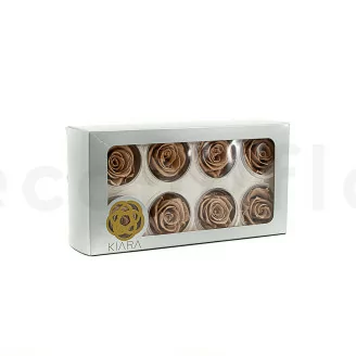 Rosa stabilizzata L Nude (x8)