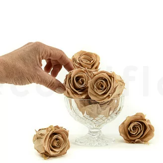Rosa stabilizzata L Nude (x8)