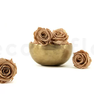 Rosa stabilizzata L Nude (x8)