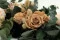 Rose stabilis&eacute;e L Nude (x8) 2