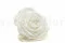 Rosa stabilizzata XXL Bianco 1