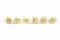 Konservierte Rose XL Pearl White (x6) 6