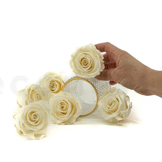Rosa stabilizzata XL Pearl White (x6)