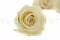 Rose stabilis&eacute;e XL Pearl White (x6) 12