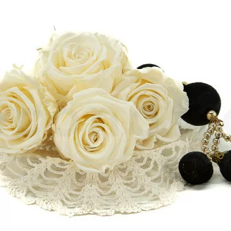 Preserved Rose XL Pearl White (x6)