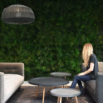 Preserved Tree Fern Dark Green